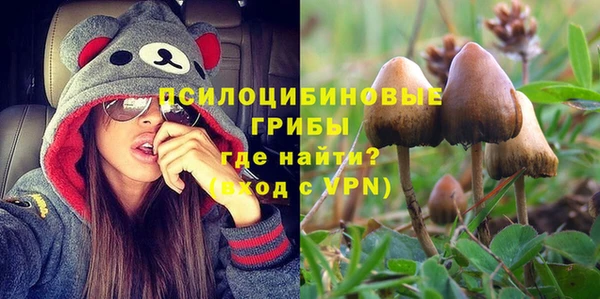 a pvp Дмитриев