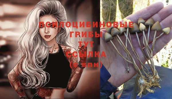 a pvp Дмитриев