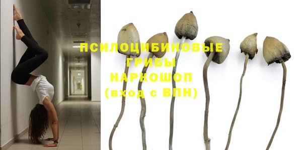 a pvp Дмитриев