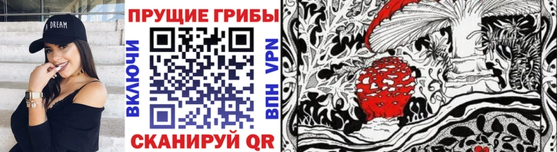 Галлюциногенные грибы Psilocybine cubensis  Купить где  Нижние Серги 